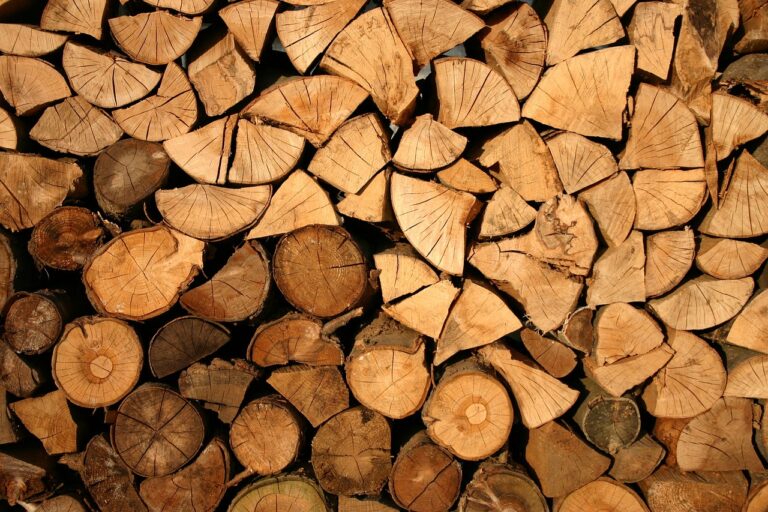 Pile de bois,Quel est le meilleur bois de chauffage